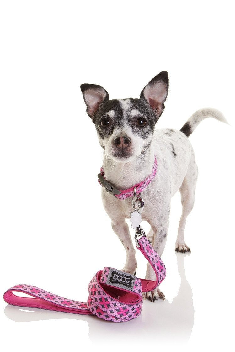 DOOG Neoprene Dog Leash Toto