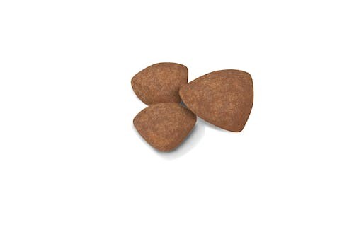 Royal Canin Mini Puppy Dry Dog Food