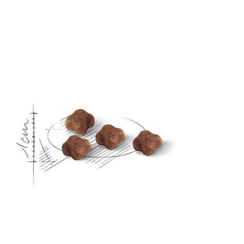 Royal Canin Mother & Baby Cat Dry Food Bag