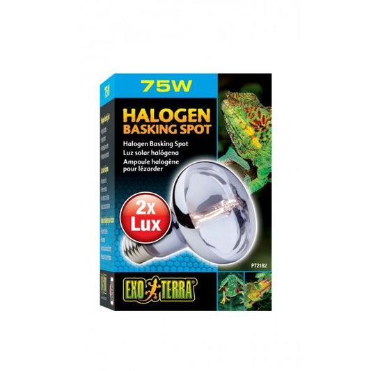 Exo Terra Halogen Basking Spot Lamp