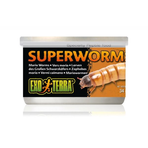 Exo Terra Canned Superworms 34g