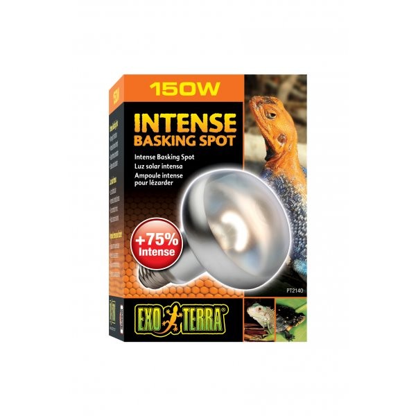 Exo Terra Intense Basking Spot Lamp