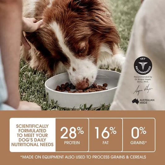 Ivory Coat Grain Free Puppy Large Breed Dry Dog Food Lamb