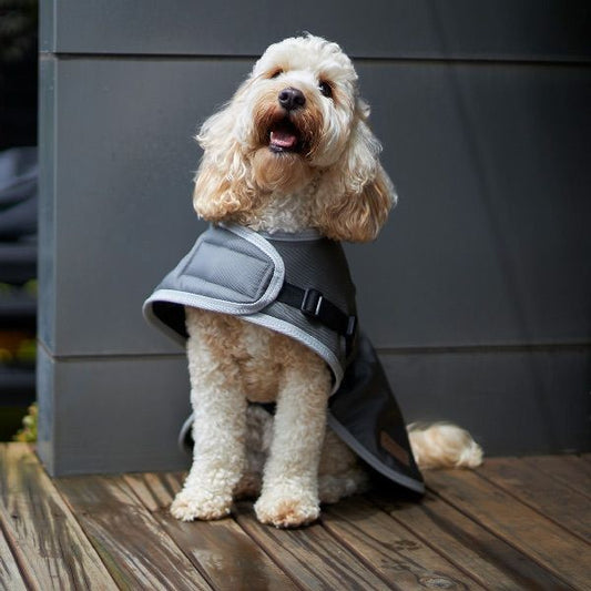 Kazoo Eco Adventure Coat Granite