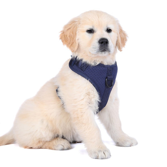 DOOG Neosport Soft Harness Navy