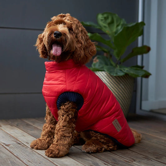 Kazoo Reversible Puffer Dog Jacket - Red & Blue
