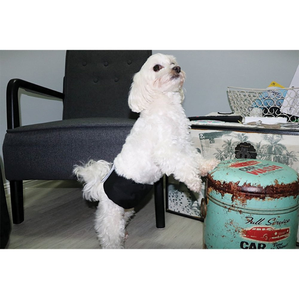 Zeez Washable Male Wrap