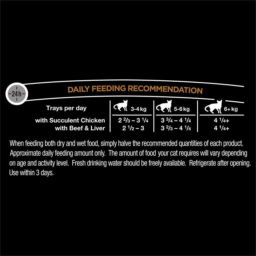Dine Multipack Classic Collection Succulent Chicken & Beef and Liver 28 x 85g