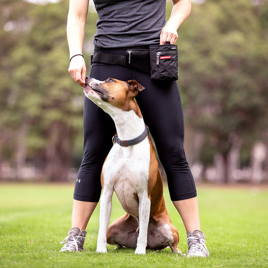EzyDog SnakPak Dog Treat Bag Black