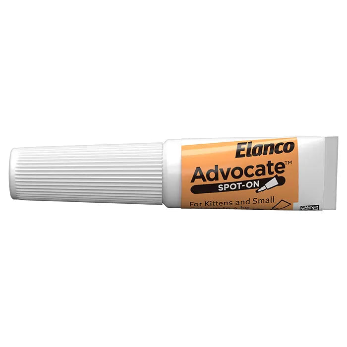 Advocate Cat Small Orange 0-4KG