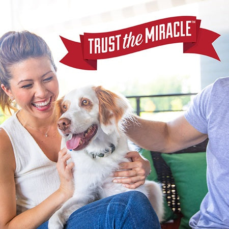 Nature's Miracle Dog Advanced Stain & Odor Eliminator Sunny Lemon Scented