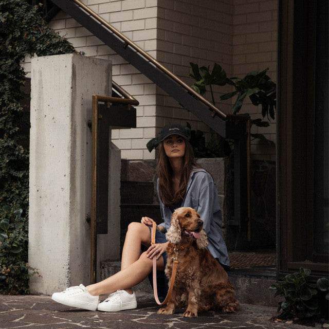 EzyDog Classic Leash Oxford Leather Blush