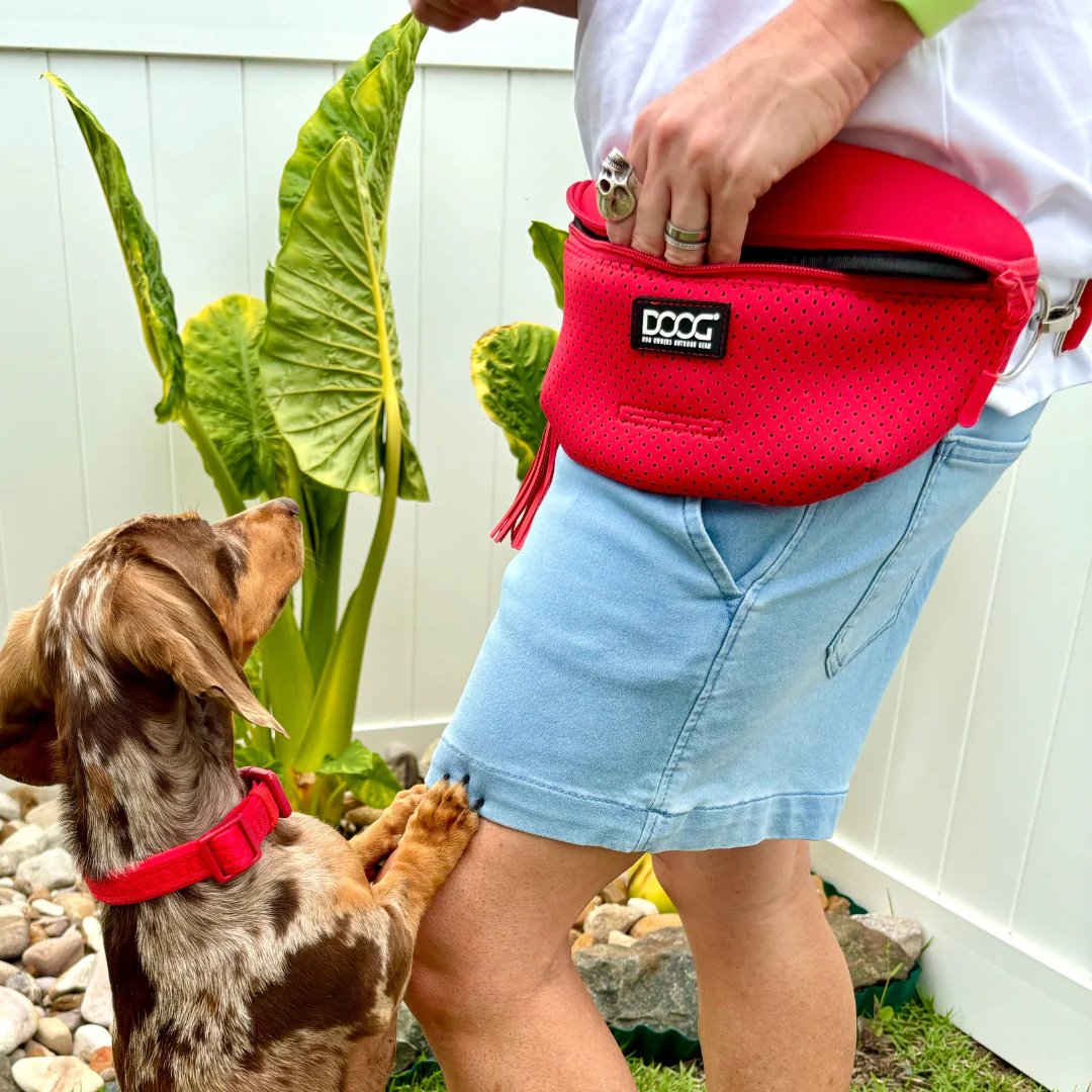 DOOG Neosport Neoprene Dog Collar Red