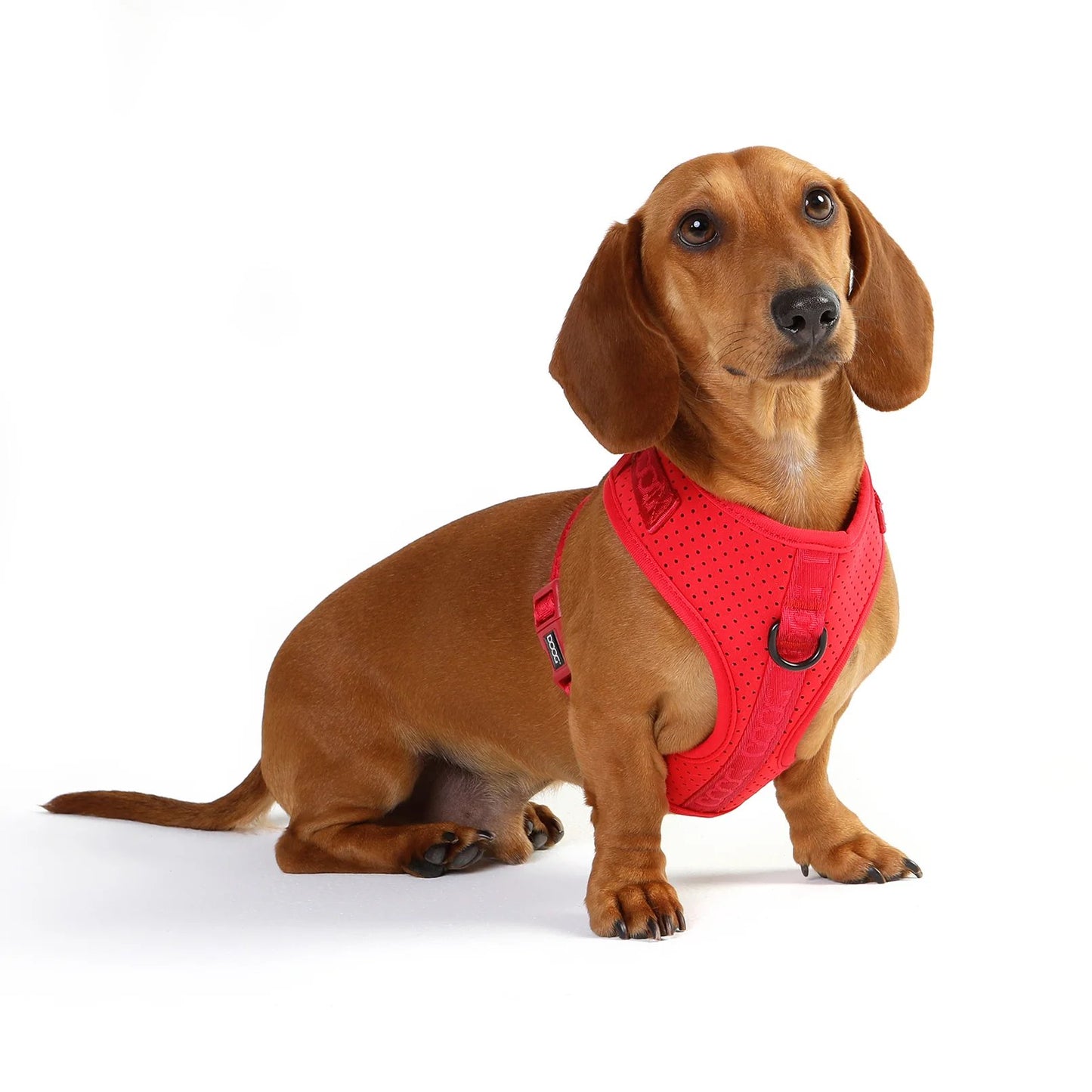 DOOG Neosport Soft Harness Red