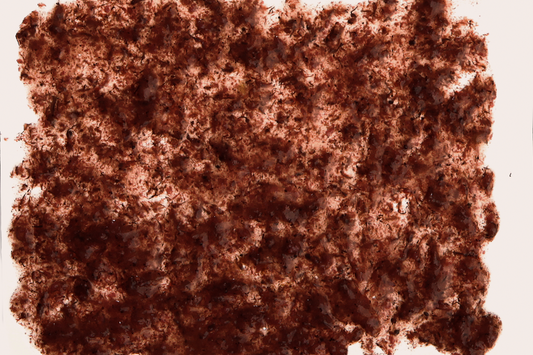 Tetra FreshDelica Brine Shrimps 48g