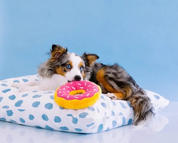 ZippyPaws Donutz Strawberry Dog Toy