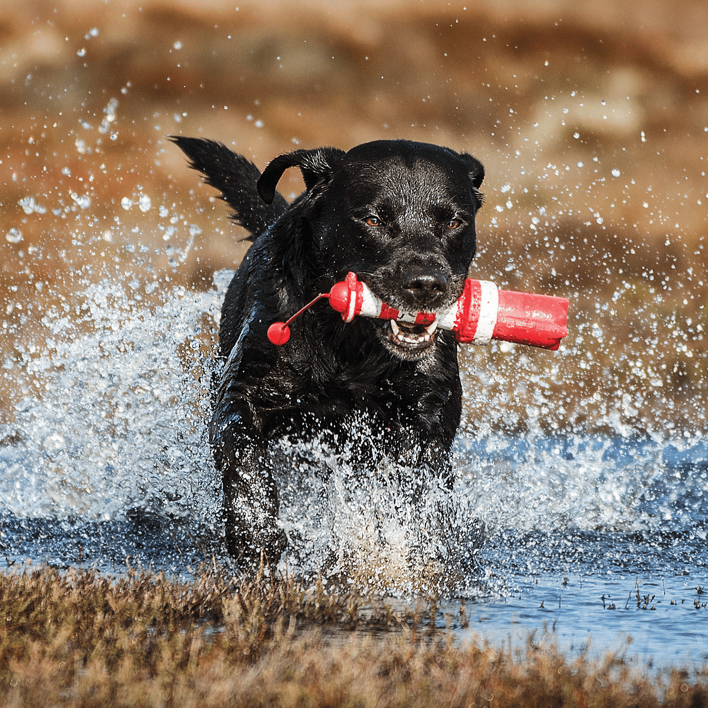 Rogz Floating Lighthouse Toy for Dogs
