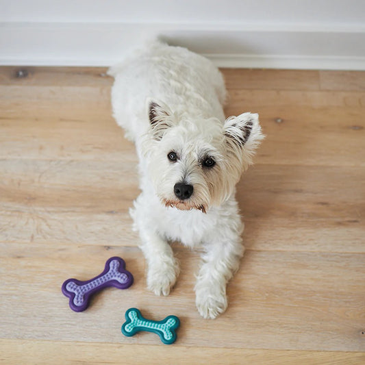 Kazoo Puppy Teether