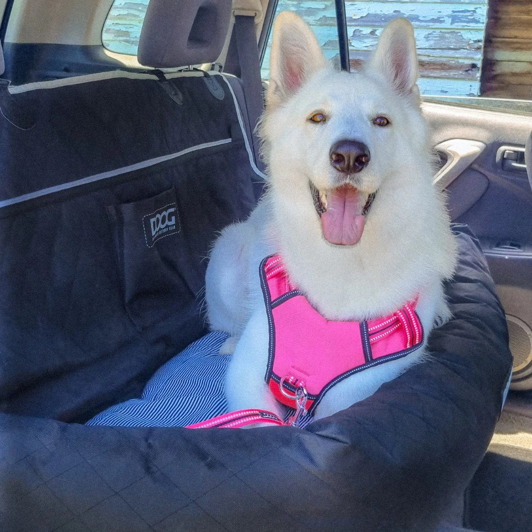 DOOG Large Car Seat Black
