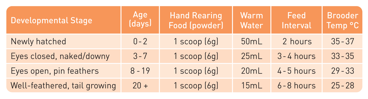 Passwell Hand Rearing Food