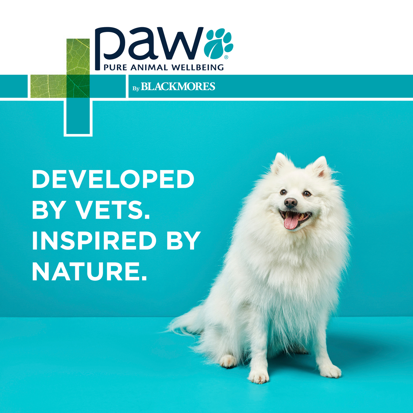 PAW Nutriderm Replenish Shampoo 200mL