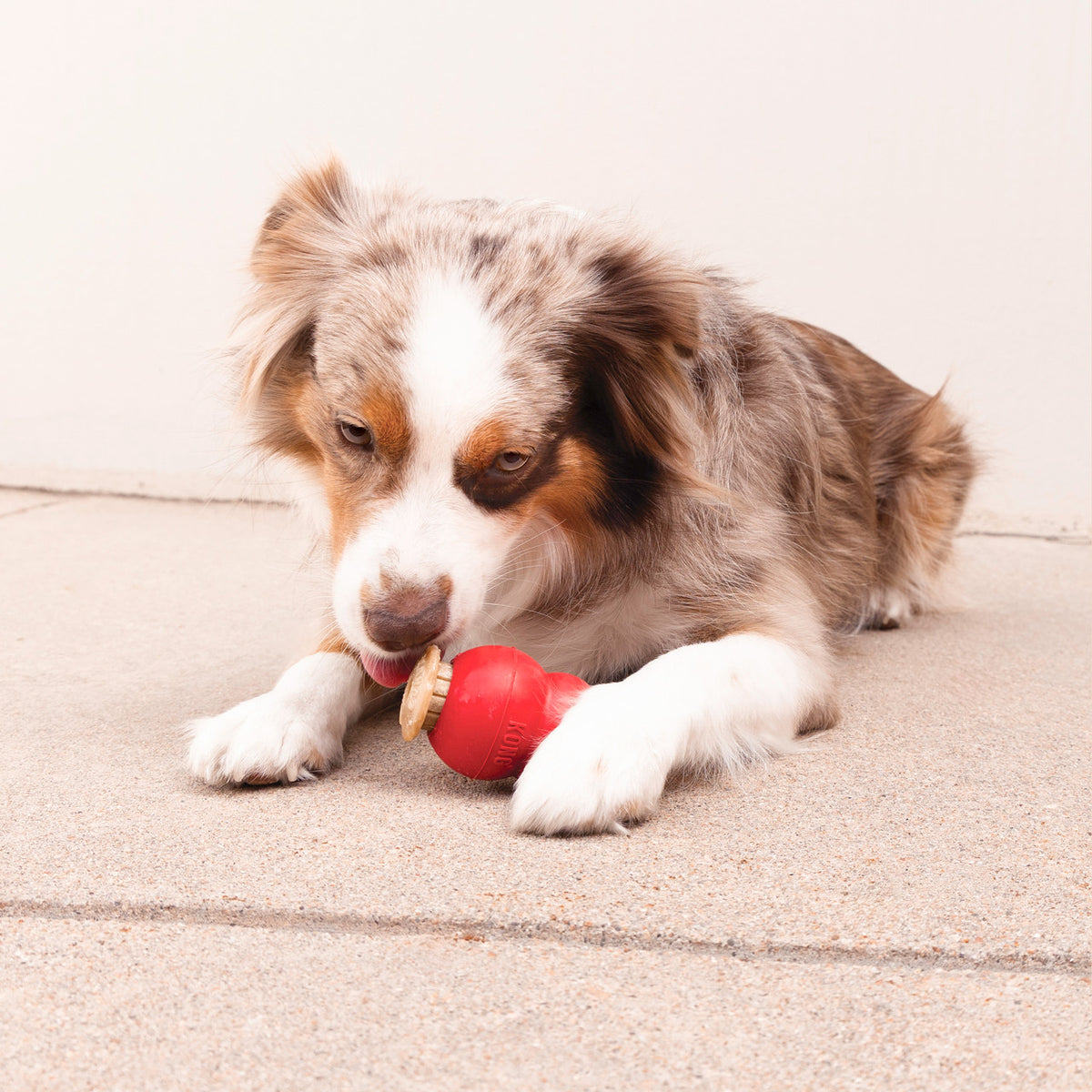 KONG Corkz Savory Dog Treats