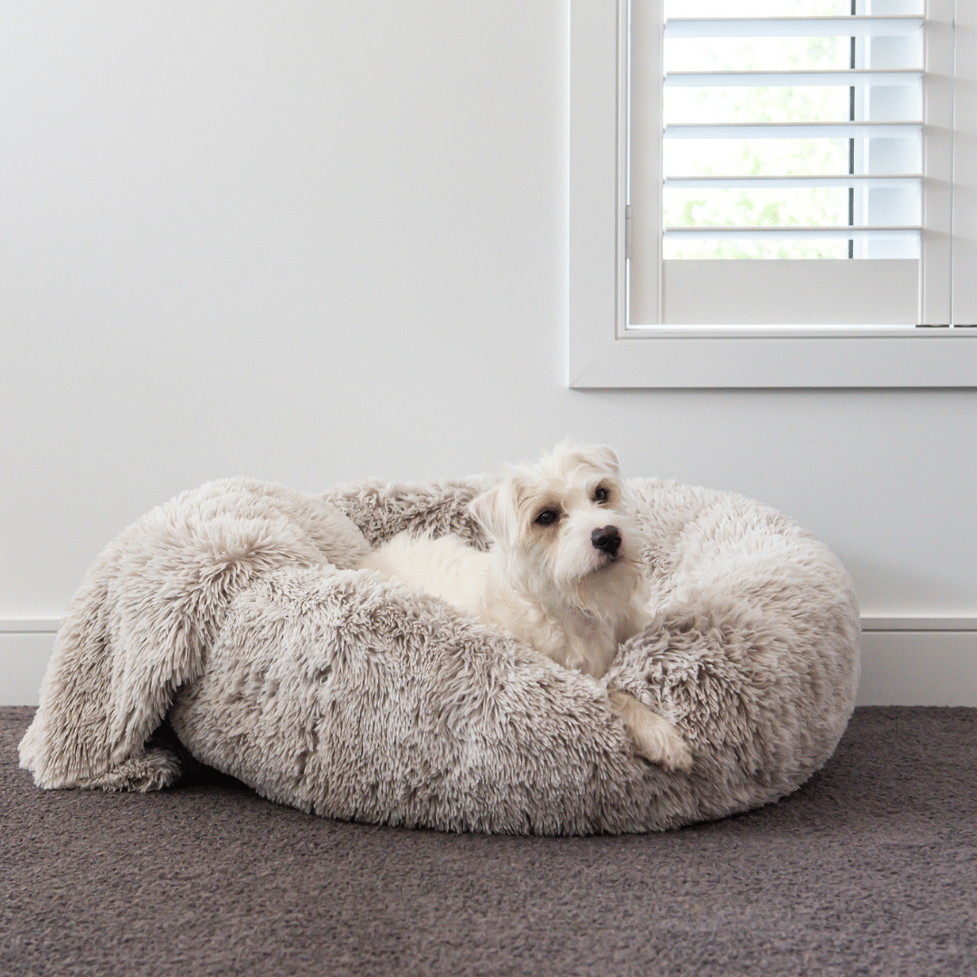 Superior Pet Goods Calming Pet Blanket Water Resistant Aspen Faux Fur