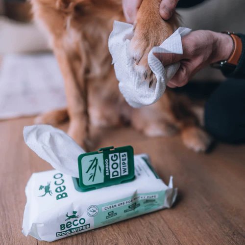 Beco Bamboo Dog Wipes Unscented 80pk