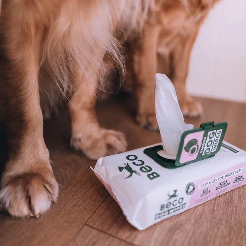 Beco Bamboo Dog Wipes Coconut Scented 80pk