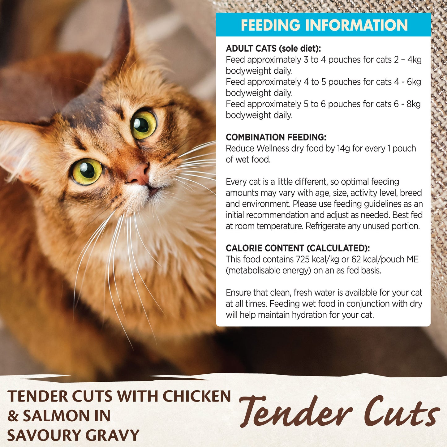 Wellness Core Tender Cuts for Cats Chicken & Salmon in Savoury Gravy