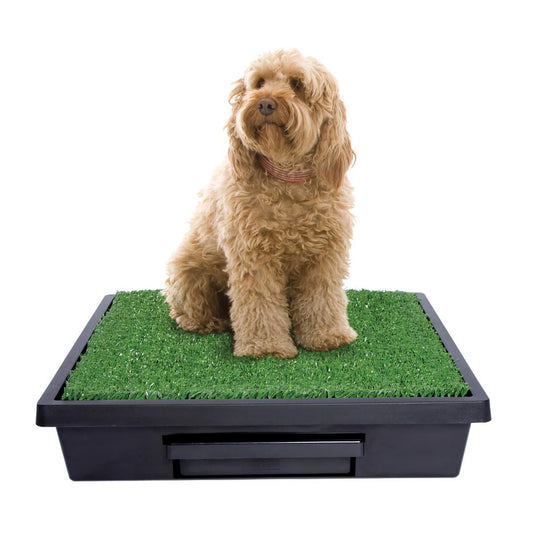 PetSafe Pet Loo Portable Pet Toilet Medium