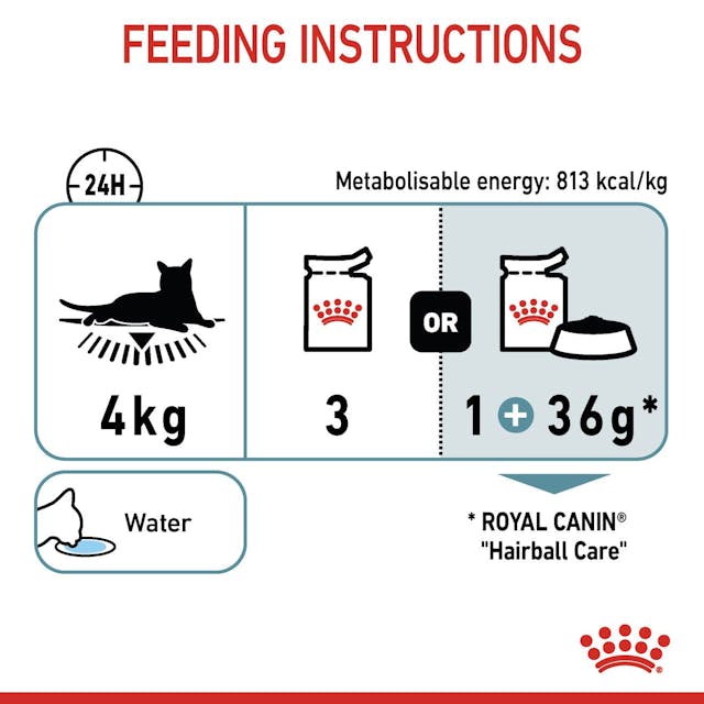 Royal Canin Hairball Care Cat Wet Food Pouches in Jelly