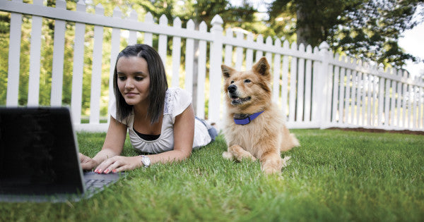 PetSafe Elite Little Dog Spray Bark Control Collar