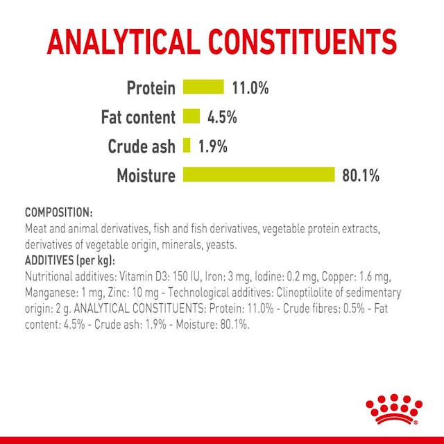 Royal Canin Sensory Smell Cat Wet Food Pouches in Jelly