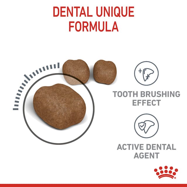 Royal Canin Dental Care Cat Dry Food Bag