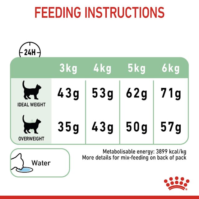 Royal Canin Digestive Care Dry Cat Food