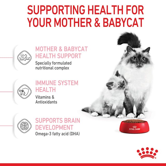 Royal Canin Mother & Baby Cat Dry Food Bag