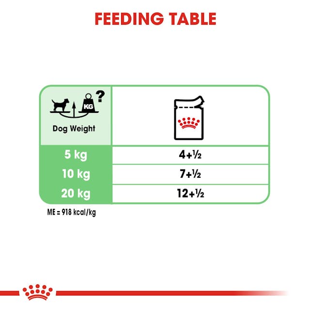 Royal Canin Digestive Care Dog Wet Food Pouches in Loaf