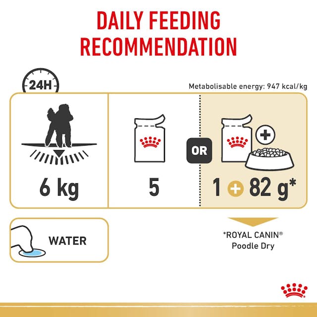 Royal Canin Poodle Dog Wet Food Pouches in Loaf