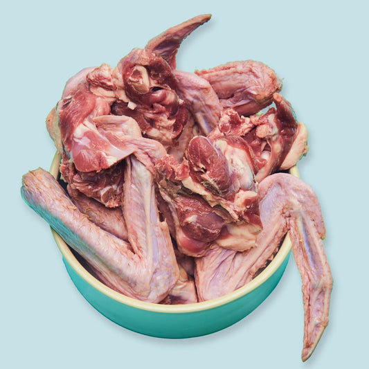 Right Start Duck Wing for Cats & Dogs Twin Pack