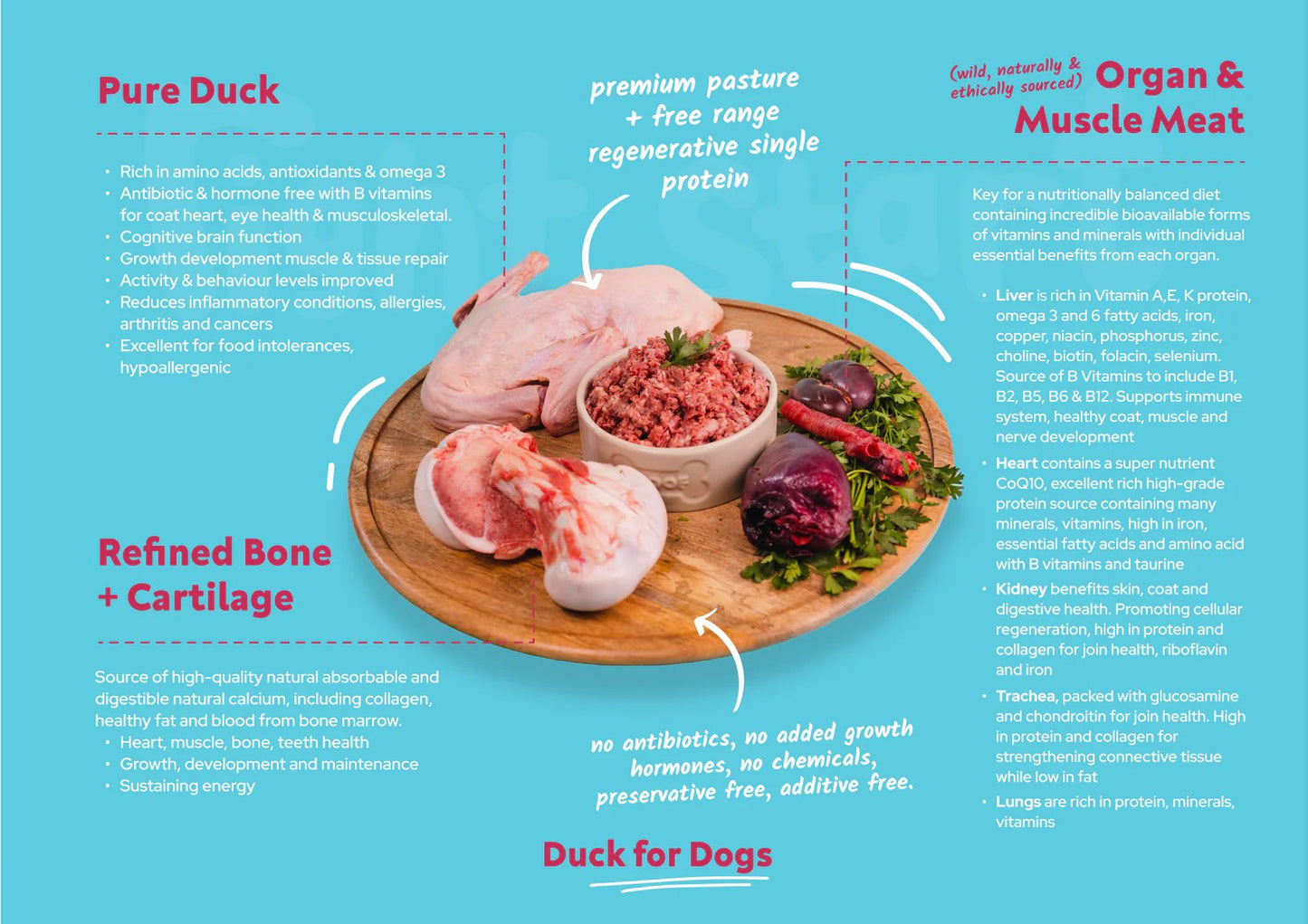 Right Start Duck Neck for Dogs