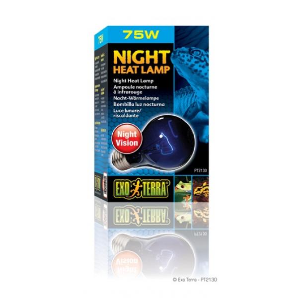 Exo Terra Night Heat Bulb