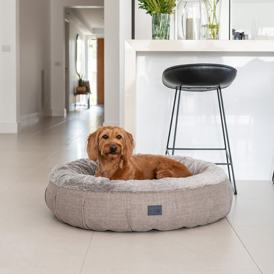 Superior Pet Goods Harley Dog Bed Puppacino Faux Fur