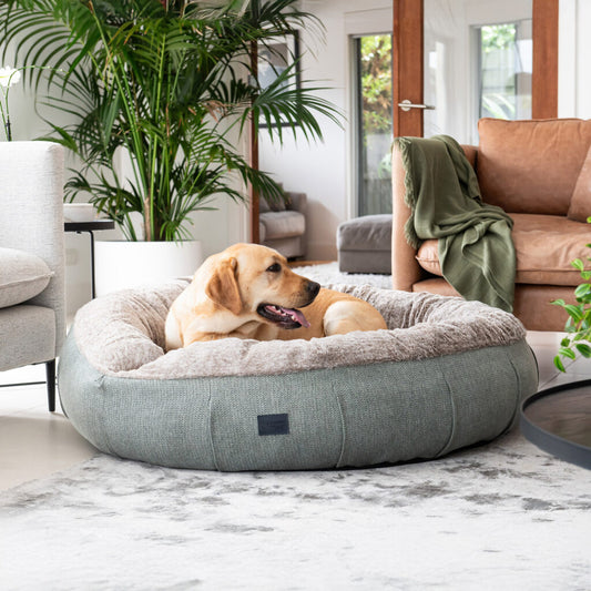 Superior Pet Goods Harley Dog Bed Sage Faux Fur