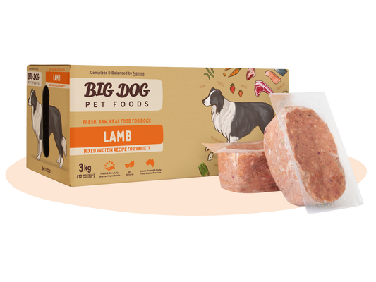 Big Dog Lamb Raw Dog Food (12x250g/3kg)