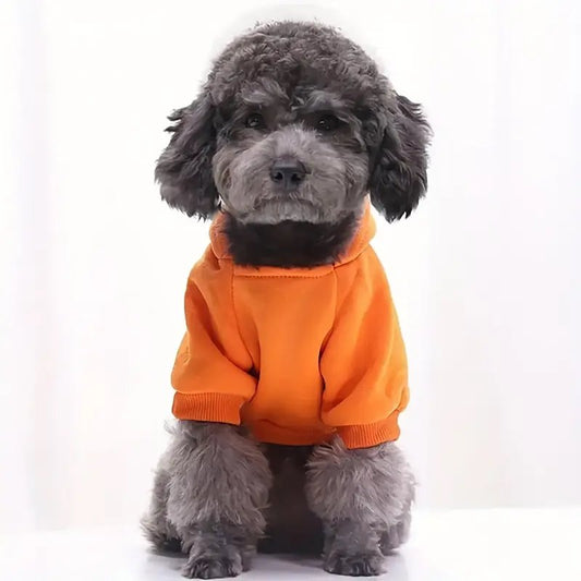 Cozy Puppy Teddy Hoodie Tangerine