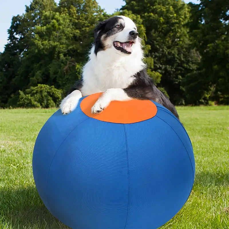 Herding Ball