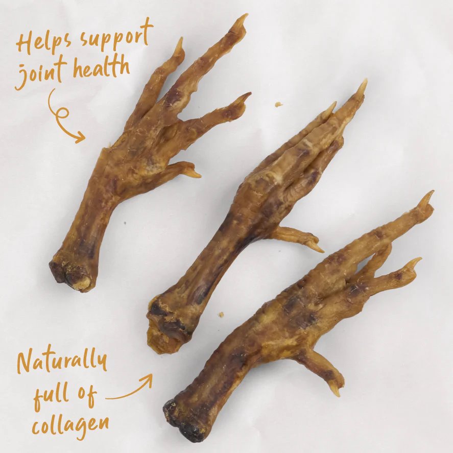 Kazoo Prime Cuts Aussie Chicken Feet 500g