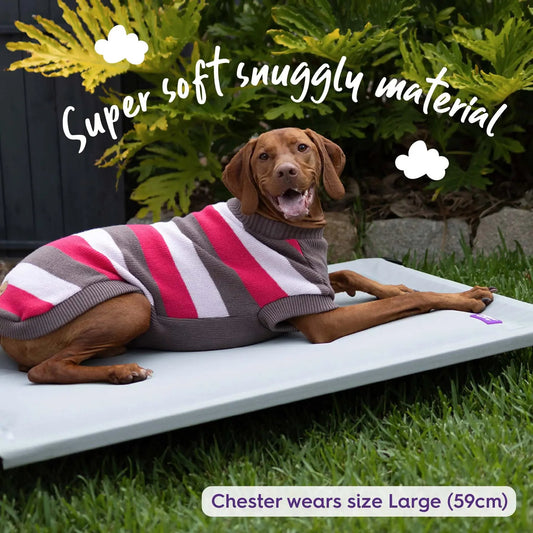 Kazoo Chestie Dog Jumper Pink