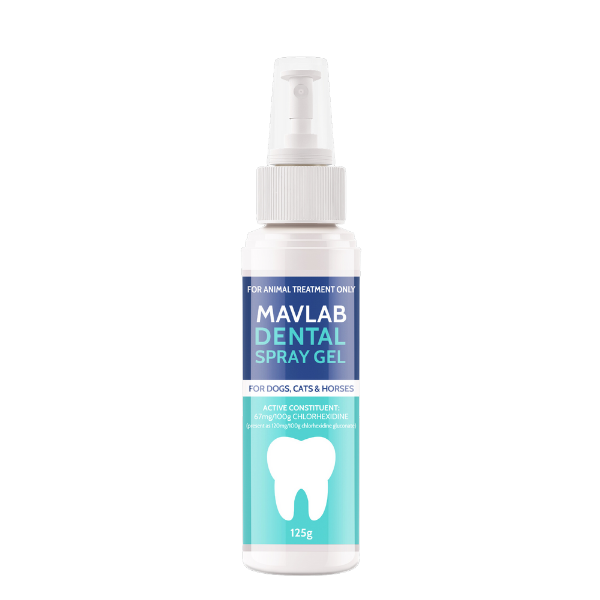 Mavlab Dental Spray Gel 125g